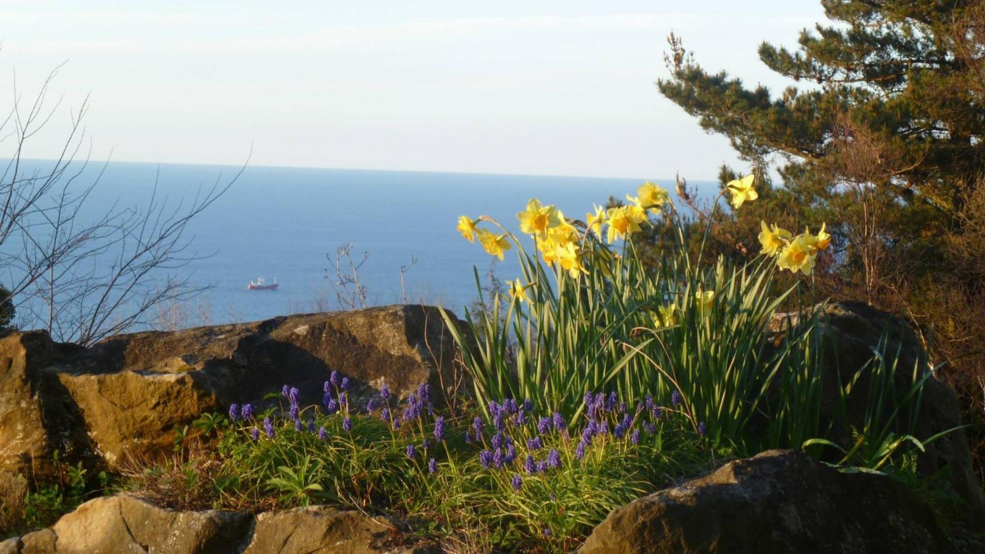 Apartamentos Mar Y Mar Agroturismo San Sebastián Zewnętrze zdjęcie
